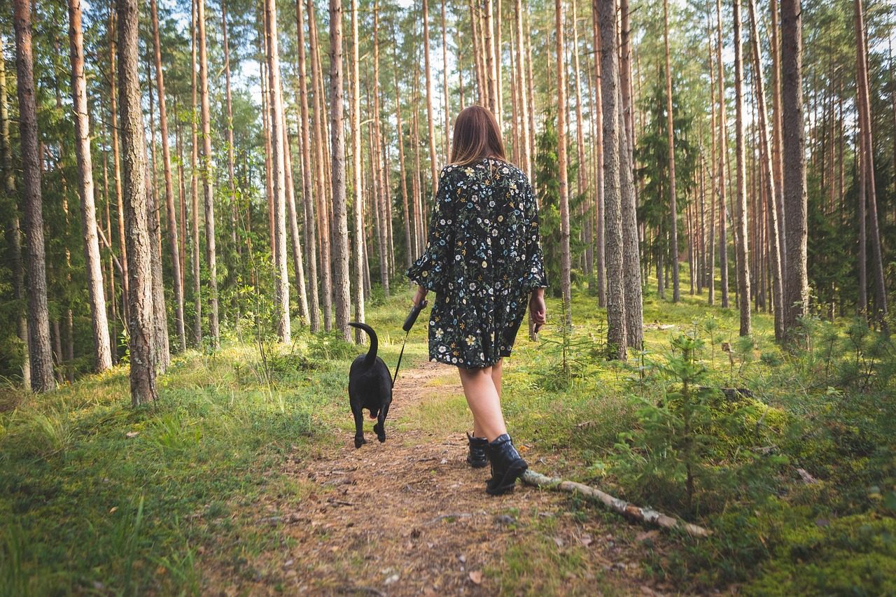 Jutro v borovem gozdu – skodelica toplega napitka ob oknu